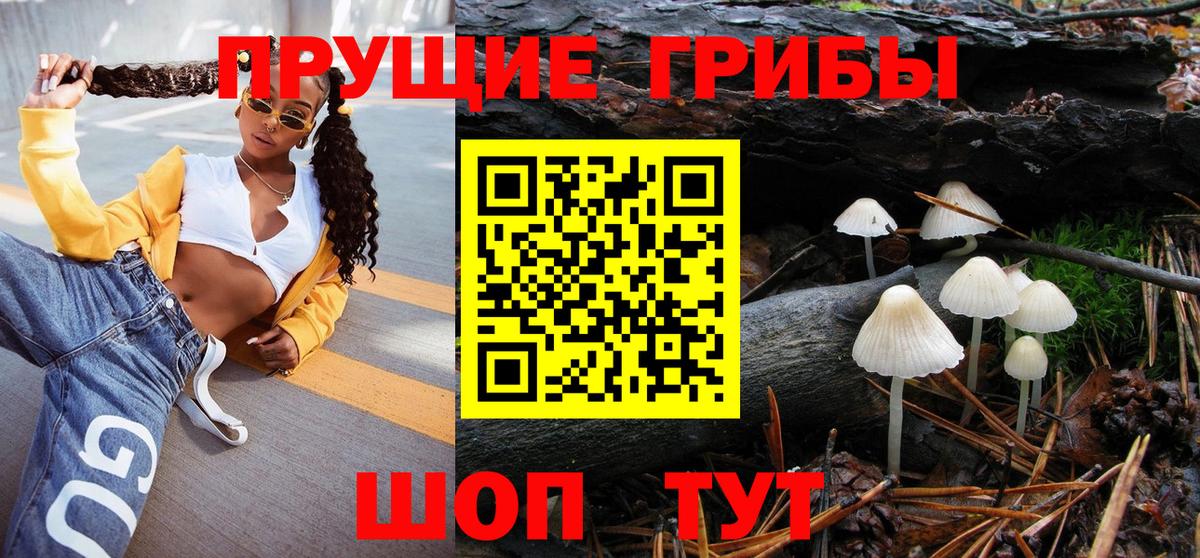 Псилоцибиновые грибы мицелий  Псилоцибиновые грибы мухоморы  Вход с VPN  Осинники 